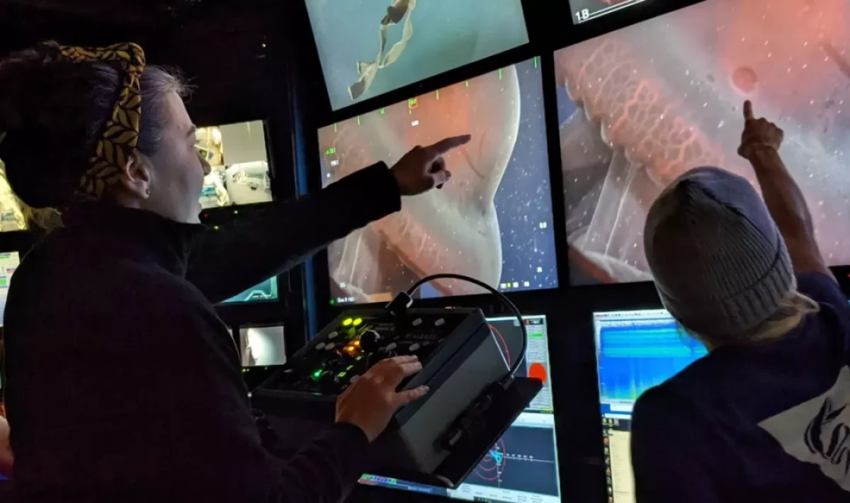 40 Yıl Sonra Yeniden Görüntülendi: Yedi Kollu Ahtapot Derinliklerden Çıktı