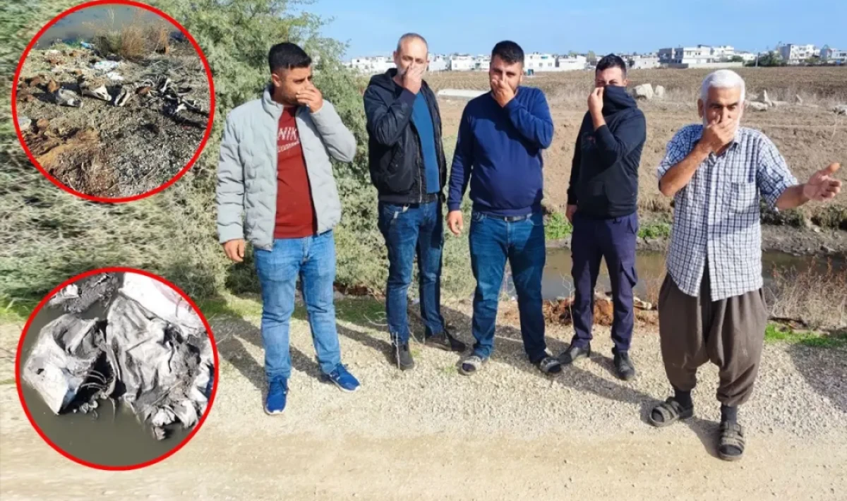 Adana’nın Yüreğir ilçesinde skandal: At ve eşek kalıntıları dere yatağına atıldı, mahalle isyanda