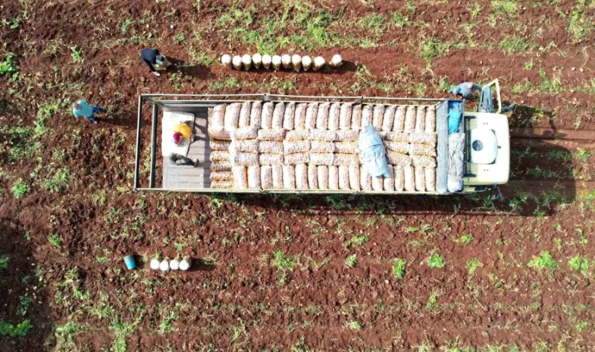 Ağustosta Patates Ucuzladı, Uçak Bileti Zamlandı