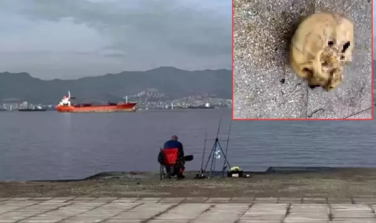 Balık Tutmak İsterken Dehşet Yaşadı: Oltasına İnsanın Kafatası Takıldı!