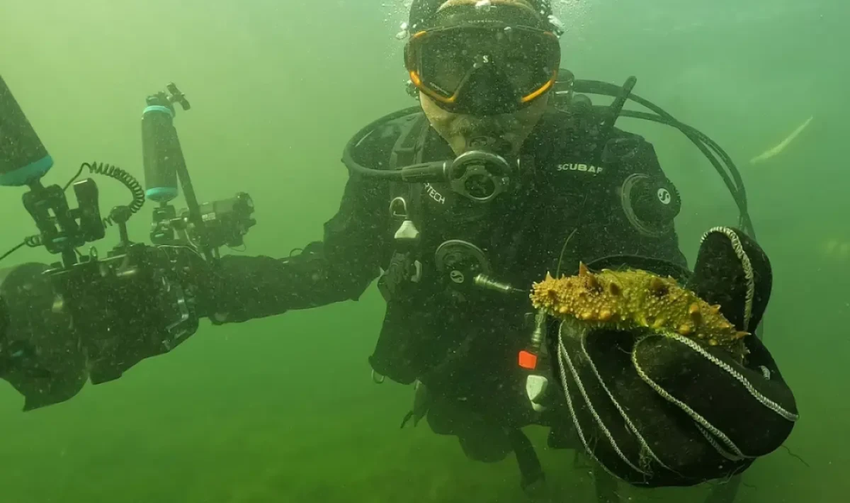 Belediye Başkanı Dalgıç Kıyafeti Giyerek Deniz Dibesine İndi