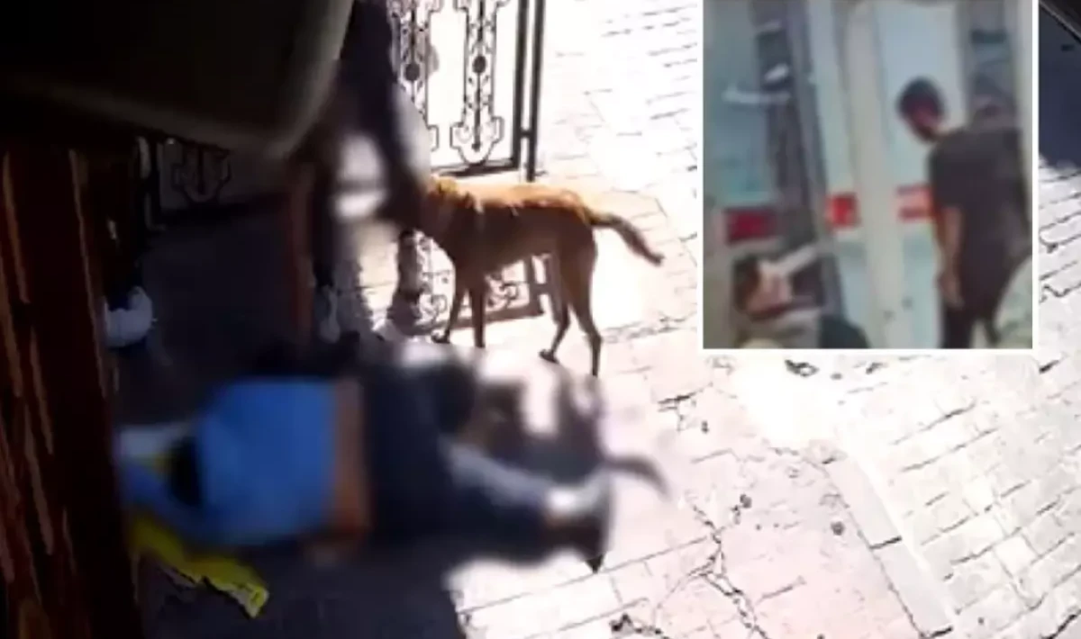 Beyoğlu’nda Hastanede Cep Telefonu Çalan Şahıs Tutuklandı