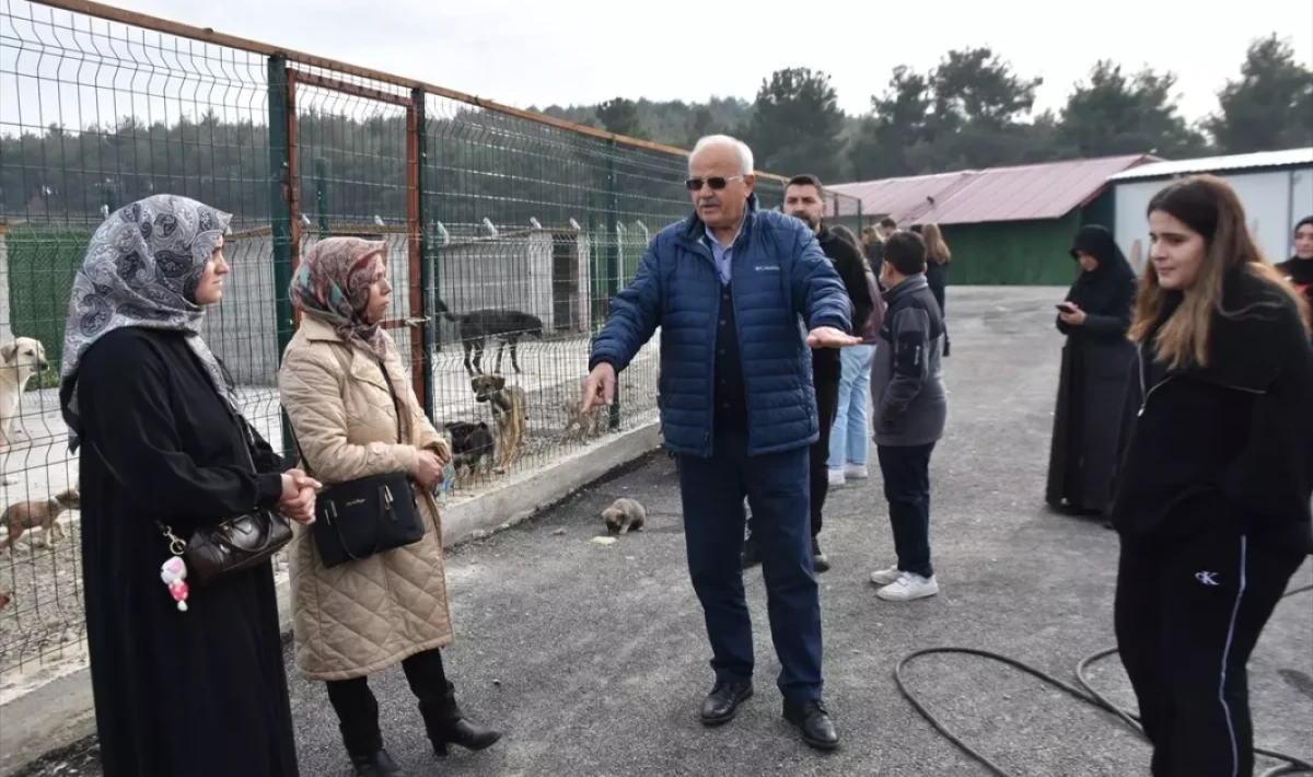 Boyabat’ta Sokak Hayvanları İçin Doğal Yaşam Alanı Kuruldu