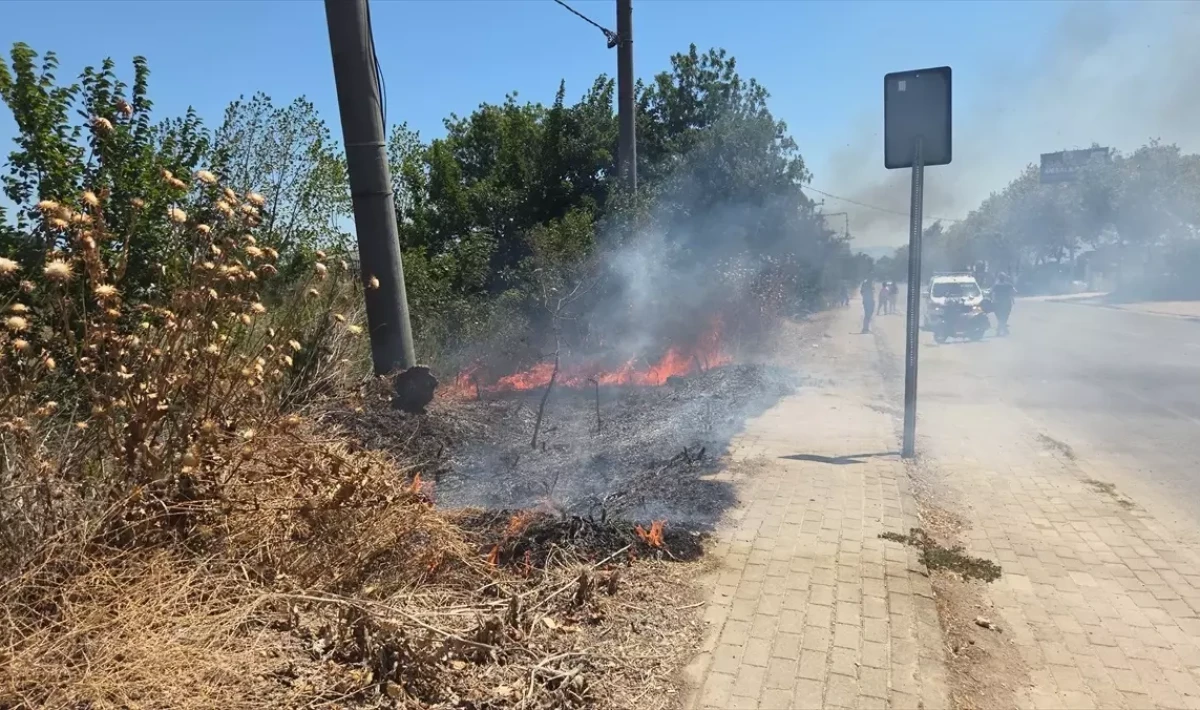 Bursa Orhangazi’de korkutan ot yangını!