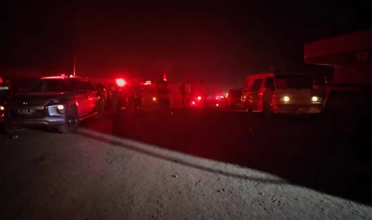 Bursa'da Orman Yangını: 1765 Kişi Tahliye Edildi