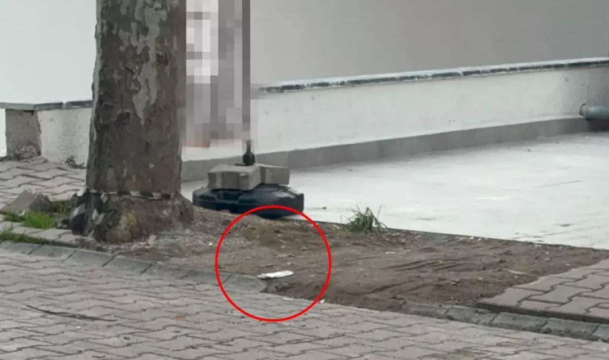 Darıca’da market çalışanı bulduğu kargo poşetinden 60 bin dolar çıktı