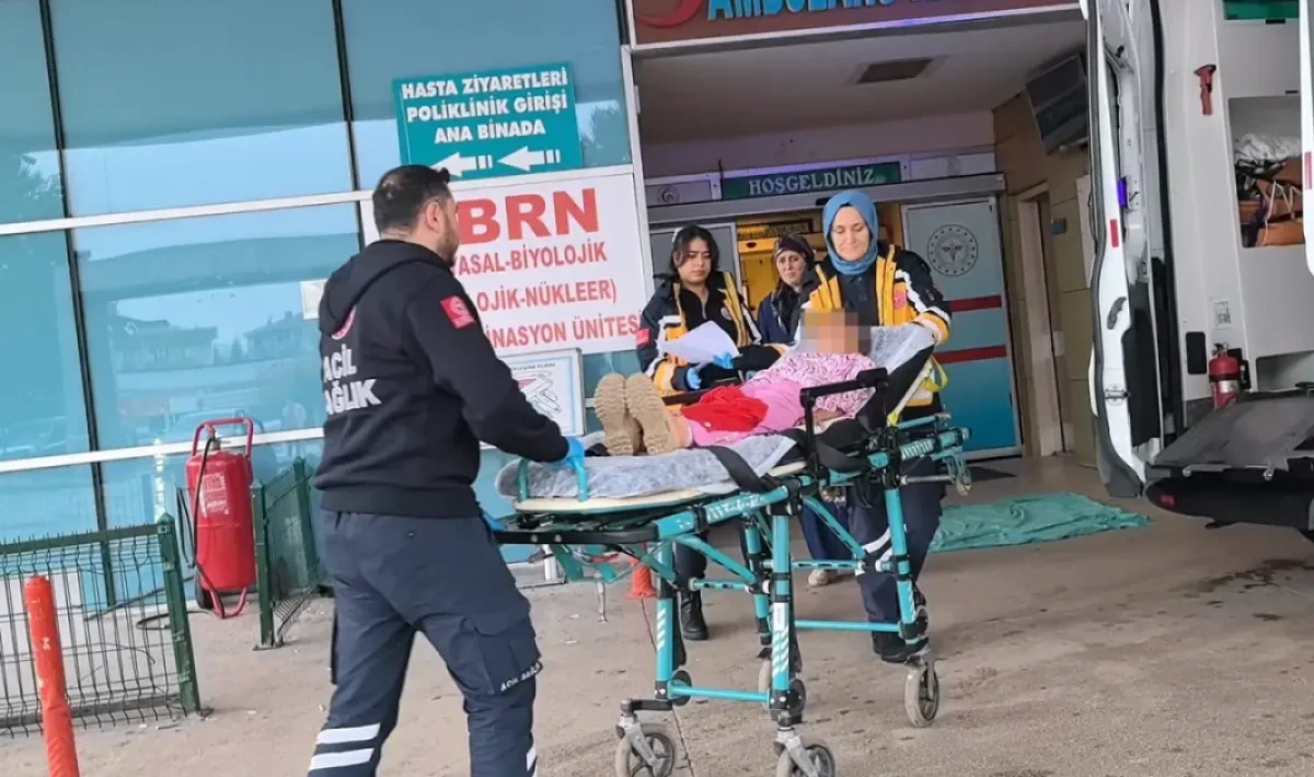 Demir Bahçe Kapısının Altında Kaldı: Ağır Yaralı