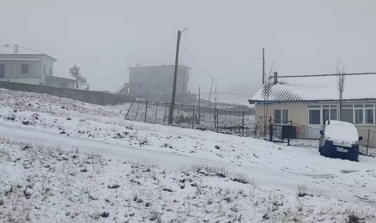 Doğu Karadeniz “Kışı Erken Getirdi”: Yaylalar Beyaza Büründü