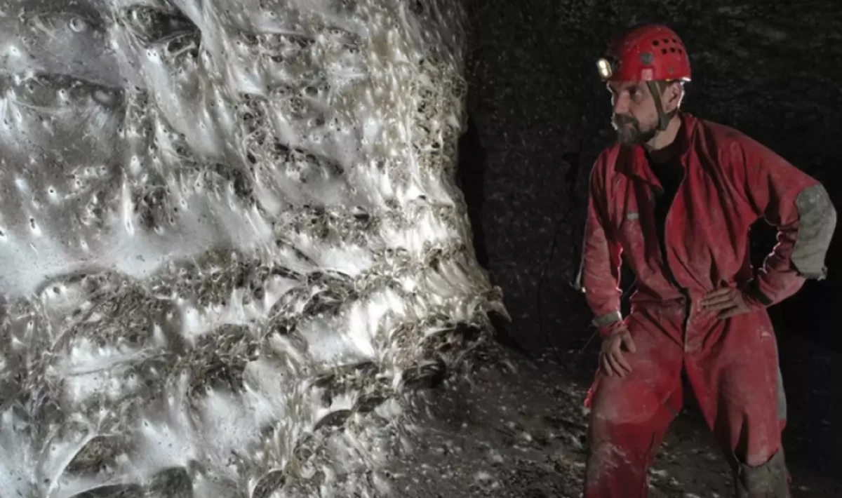 Dünyanın En Büyük Örümcek Ağı Keşfedildi