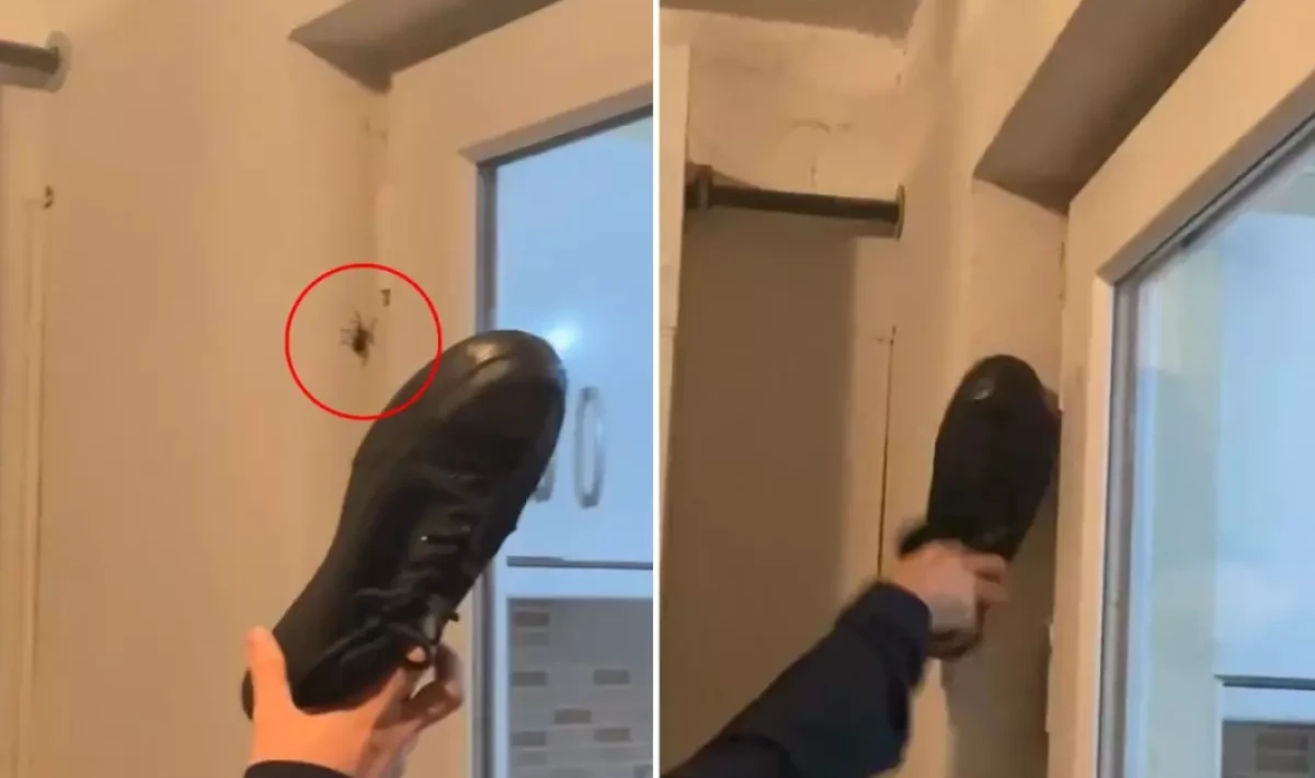 Duvardaki Örümceğe Ayakkabı ile Vurdu Sonrasında Yaşananlar Şoke Etti