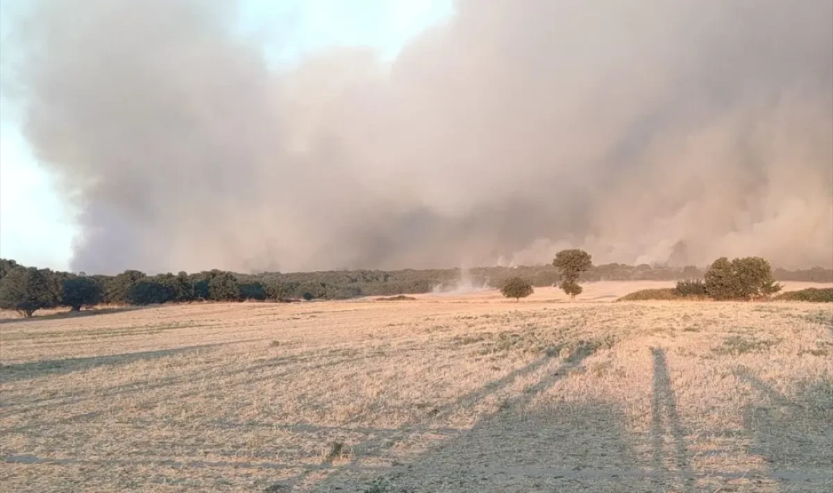 Edirne Enez’de Orman Yangınına Havadan ve Karadan Müdahale
