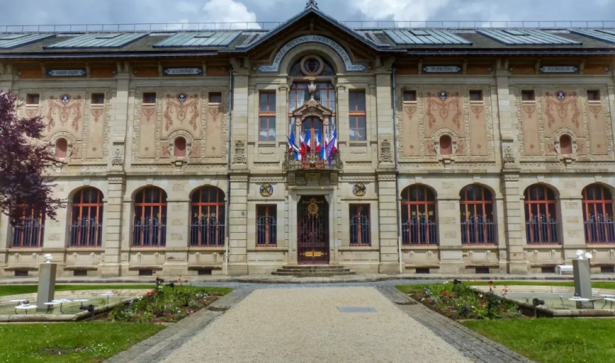 Fransa’da Şok Vurgun: Müzeden 9,5 Milyon Avroluk Seramik Eser Çalındı