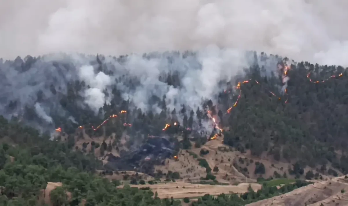 Kahramanmaraş'ta Orman Yangını: Alevler Evleri Sardı, Tahliyeler Başladı