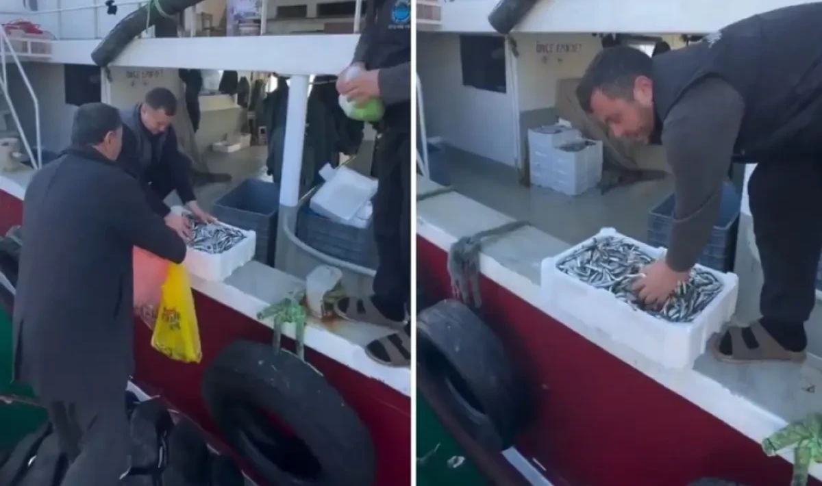 Kasalar Dolusu Balığı Bedava Dağıttılar: Sır Perdesindeki İddia Şaşırtıyor