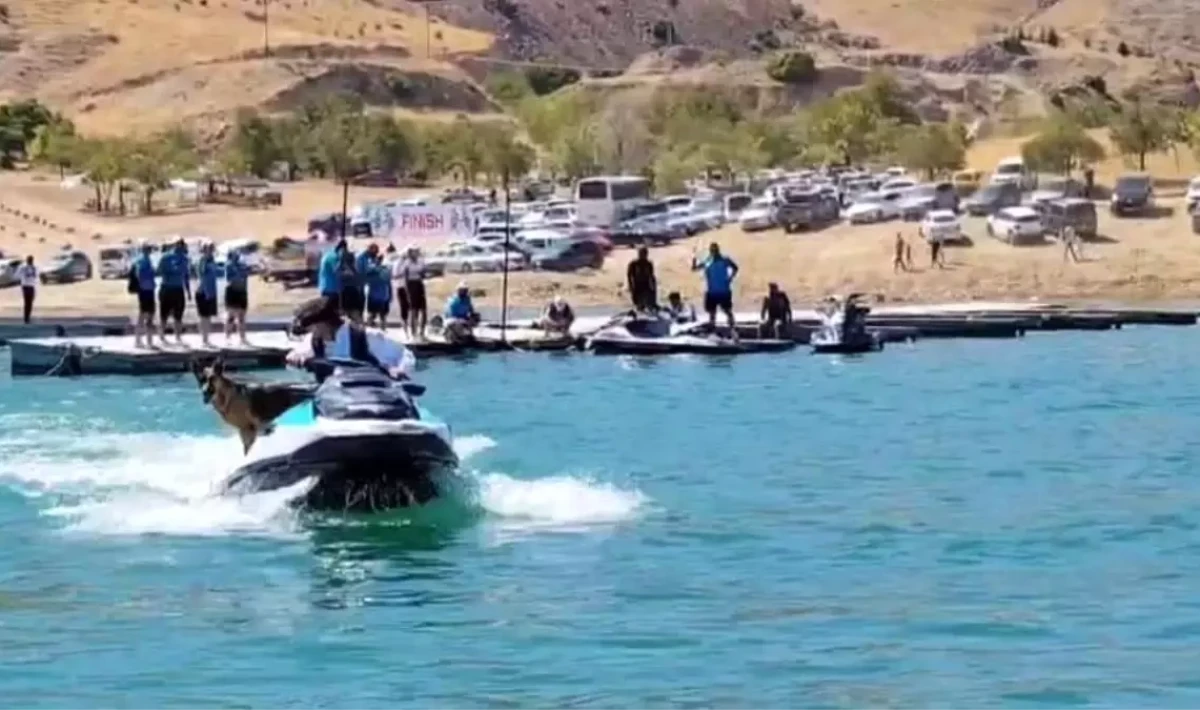 Keban Festivali’nde Köpekten Şov: Jet Ski Turu!