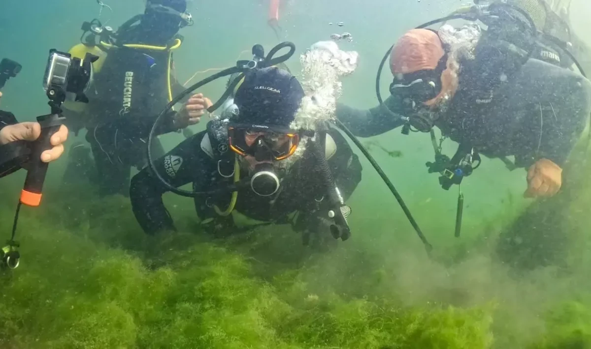 Kocaeli’de İzmit Körfezi Dip Çamuru Temizliği Projesi Devam Ediyor
