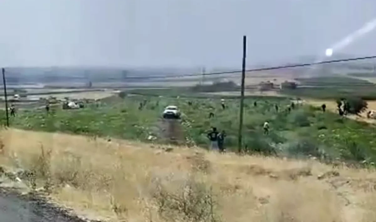 Mardin'de karpuz tarlasına akın! Çiftçi gözlerine inanamadı