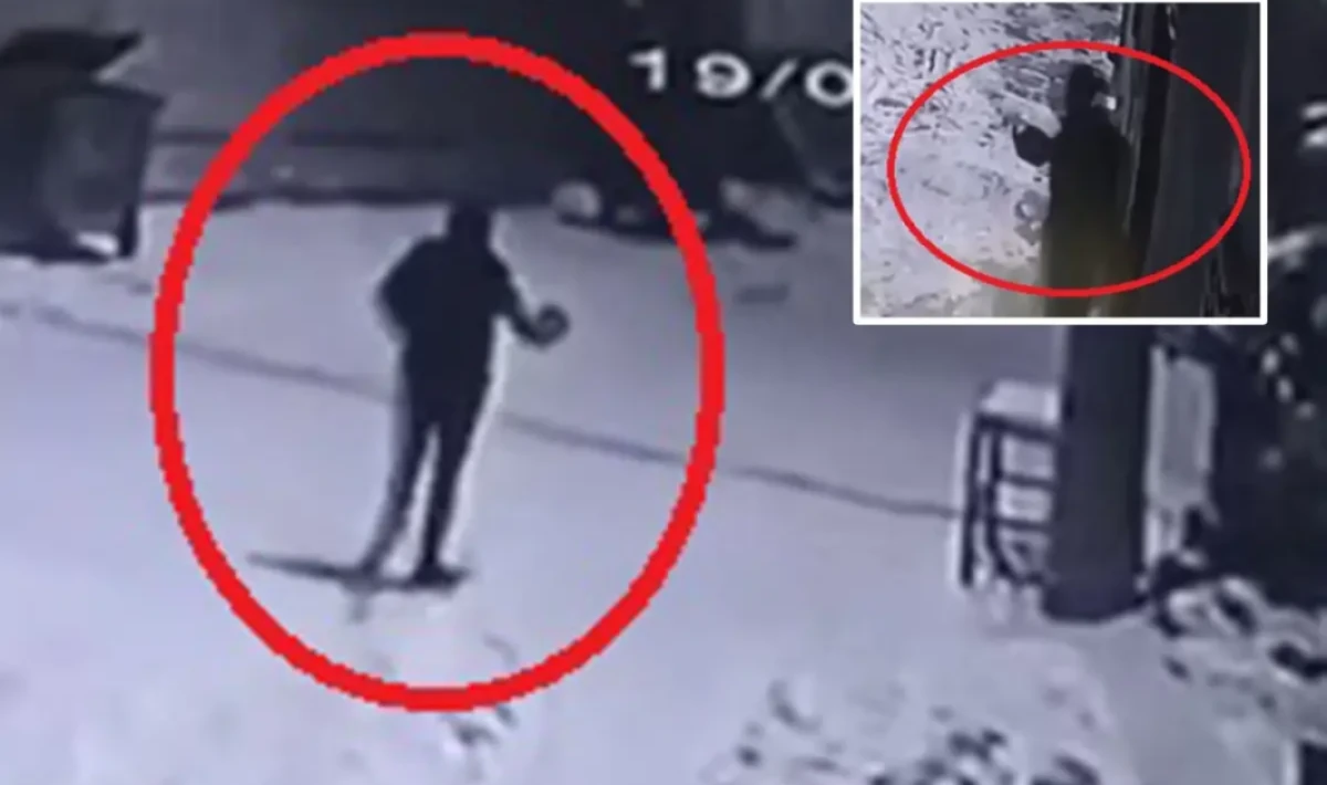 Nevşehir’de Mahalleye İnen Kurtları Çaydanlıkla Kovaladı