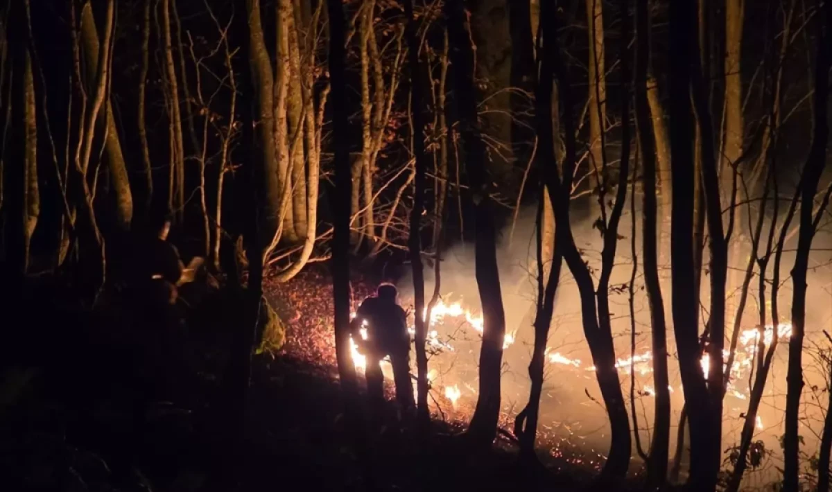 Ordu’da Fındık Bahçesinde Çıkan Yangına Müdahale Ediliyor