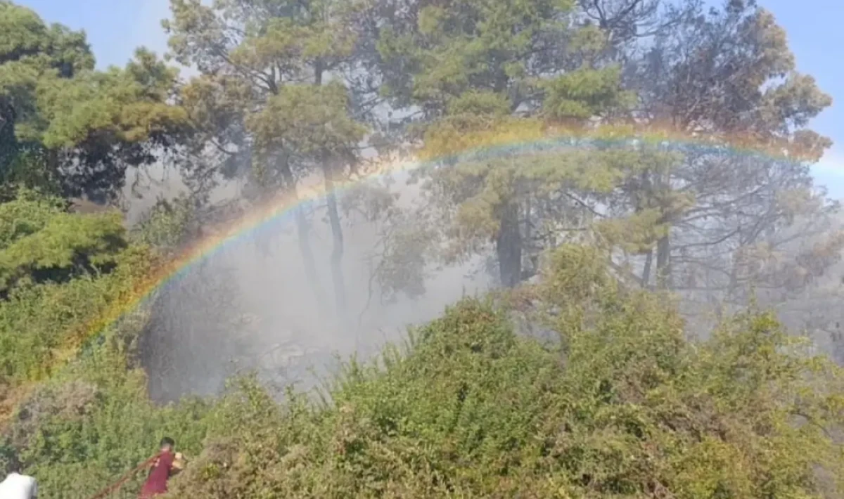 Orman Yangınında Gökkuşağı: İtfaiye Uçakları ve Su Mücadelesi