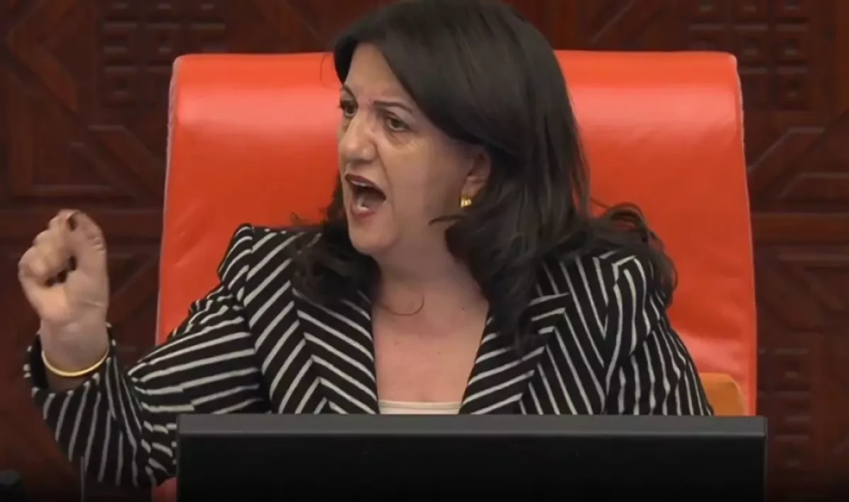 Pervin Buldan’ın isim vererek teşhir ettiği vekil: “Bana cinsiyetçi mesaj gönderdi”