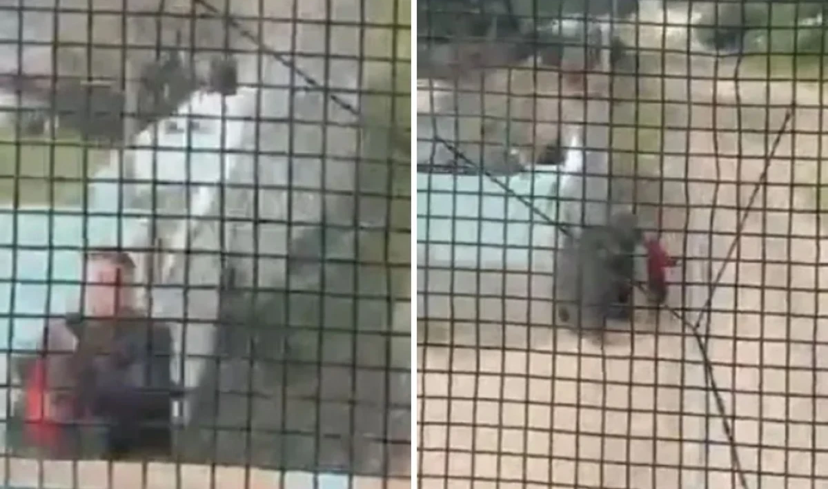 RAYLARDA MUCİZE: TRENİN ÇARPMASINA SANİYELER KALA KÜÇÜK ÇOCUĞU KURTARDI