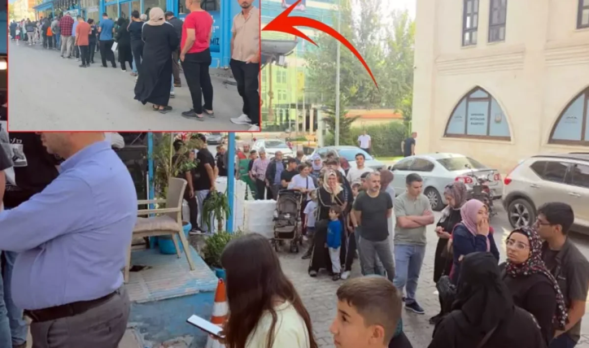 Şanlıurfa’da Ucuz Hamsi Kampanyası Vatandaşı Sevindirdi