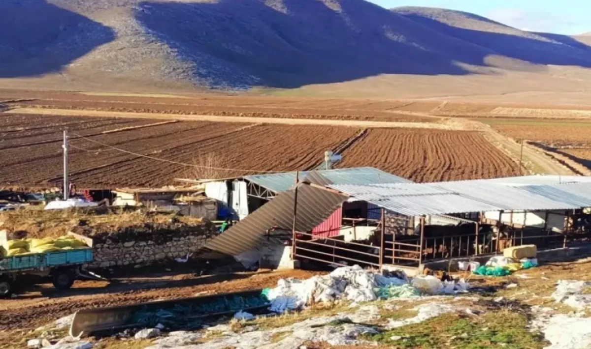 Şiddetli Fırtına Can Aldı: Beş İlden Kahreden Haberler