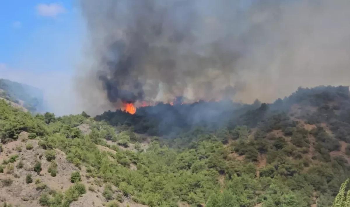 Tokat'ın Erbaa ilçesinde yangına müdahale!